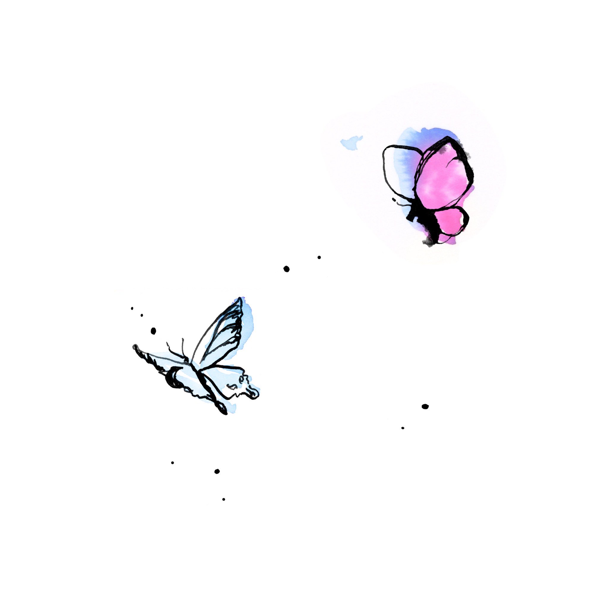 iri - Butterfly / Lirik Lagu, Makna, dan Terjemahan