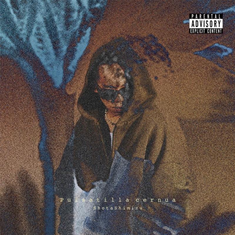 Shota Shimizu Rilis Album ke-11 'Pulsatilla cernua', Ini Detailnya