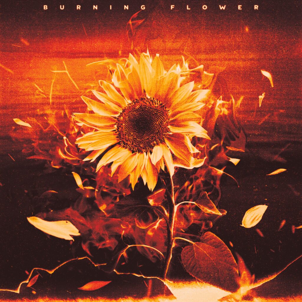 HANA - Burning Flower / Lirik, Makna, Terjemahan